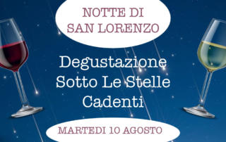 Degustazione vino Notte di San Lorenzo