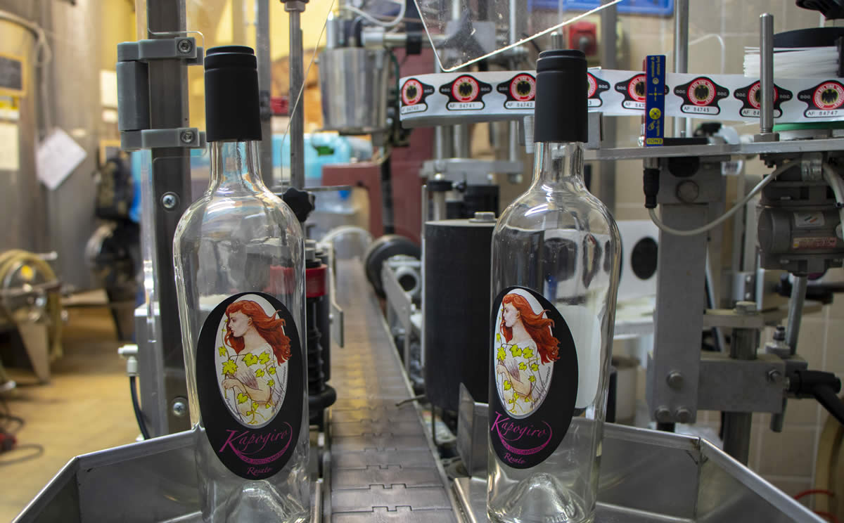 L'imbottigliamento del vino Carmignani