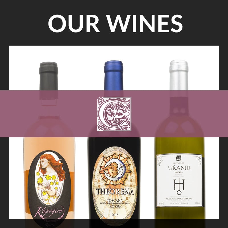 Discover the Enzo Carmignani wines